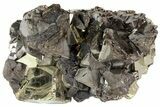 Sphalerite and Pyrite Crystal Association - Peru #72602-1
